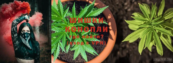 ешки Балахна
