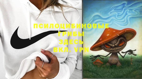 ешки Балахна